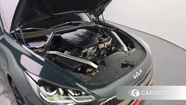 Kia Stinger Meister id 3032560 из Кореи 16