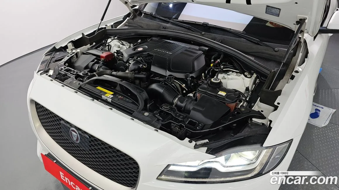 Jaguar F-PACE id 2140341 из Кореи 16