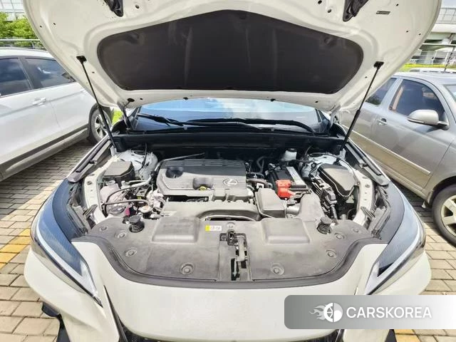 Lexus NX 2025 Белый из Китая, фото 6