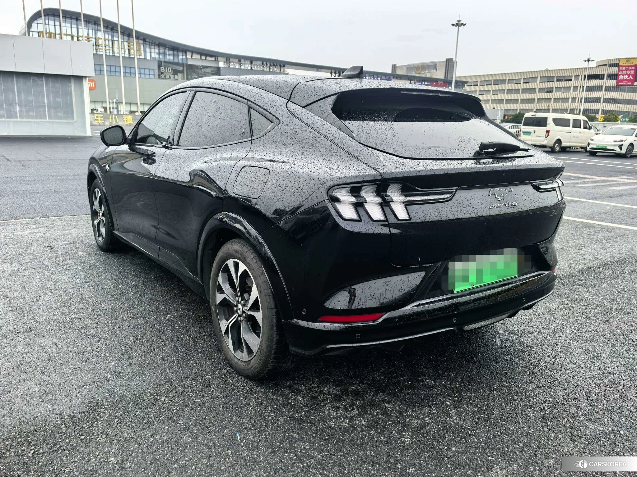 Ford Electric horse id 4461789 из Китая 8