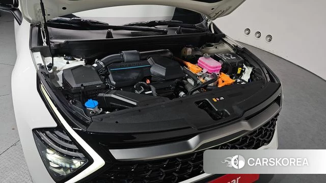 Kia Sportage 5th Generation Hybrid id 3922307 из Кореи 16