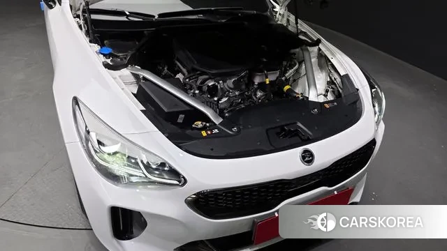 Kia Stinger Meister id 3458994 из Кореи 16