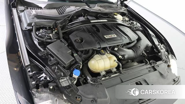 Ford Mustang id 4745942 из Кореи 28