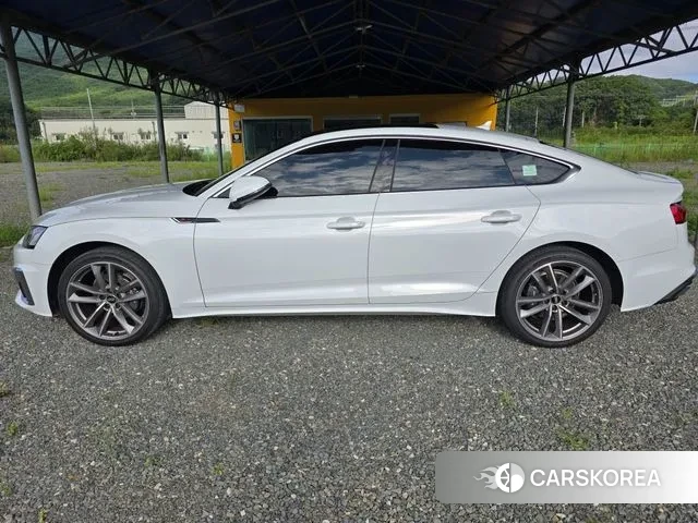 Audi A5 (F5) 2020 Белый из Кореи, фото 6