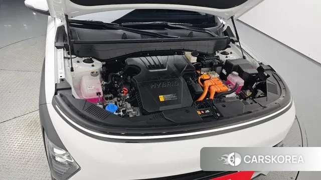 Hyundai Kona Hybrid (SX2) id 3614685 из Кореи 16