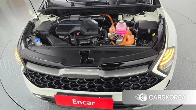 Kia Sportage 5th Generation Hybrid id 3401530 из Кореи 16