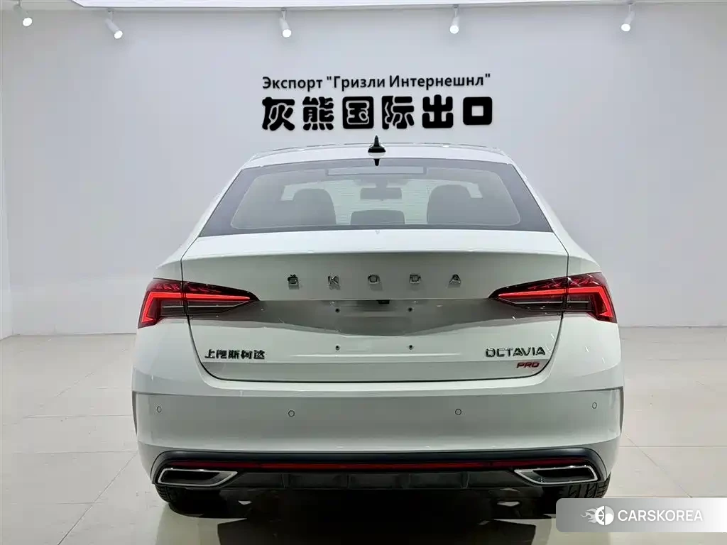 Skoda Octavia id 4548215 из Китая 11