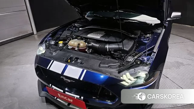 Ford Mustang id 3009089 из Кореи 16