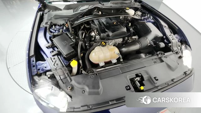 Ford Mustang id 4339375 из Кореи 27