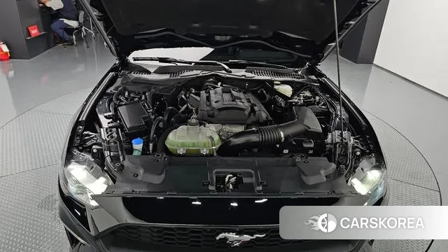 Ford Mustang id 3104383 из Кореи 16