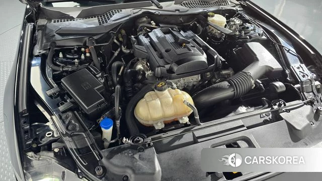 Ford Mustang id 3942003 из Кореи 16