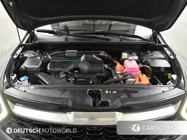Kia Sportage 5th Generation Hybrid id 4316225 из Кореи 16