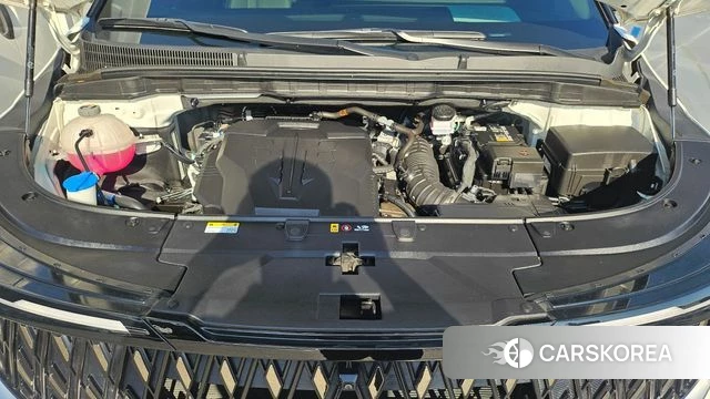 Kia The New Carnival 4th Generation id 4388121 из Кореи 16
