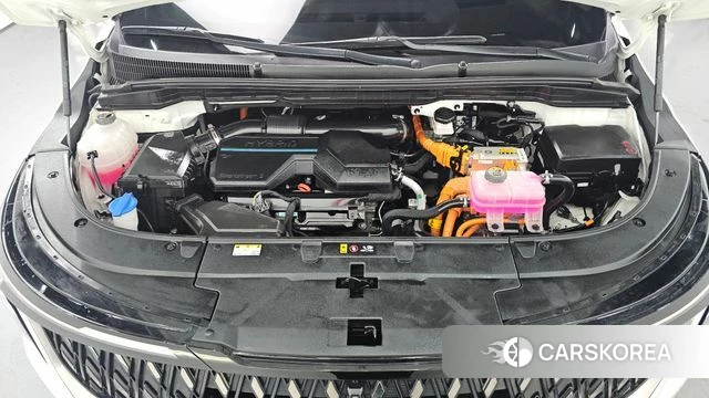 Kia The New Carnival 4th Generation id 3811287 из Кореи 16