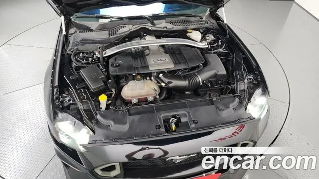 Ford Mustang id 2881364 из Кореи 16