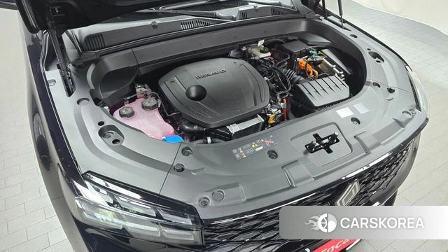 Renault Korea (Samsung) Grand Coleos id 4200578 из Кореи 26