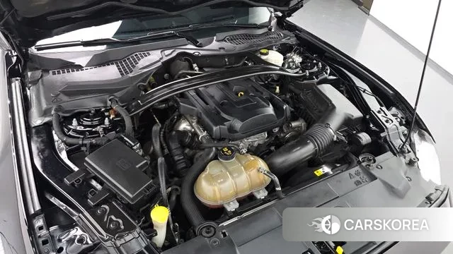 Ford Mustang id 3748633 из Кореи 16