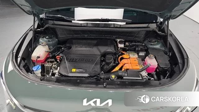 Kia Di Ol Nu Niro id 3447935 из Кореи 16