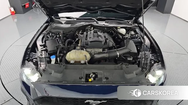 Ford Mustang id 2999232 из Кореи 16