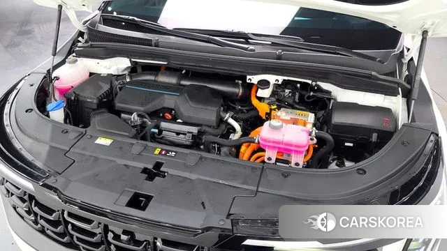 Kia The New Carnival 4th Generation id 3758177 из Кореи 16