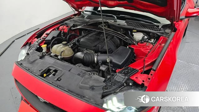 Ford Mustang id 4581813 из Кореи 26