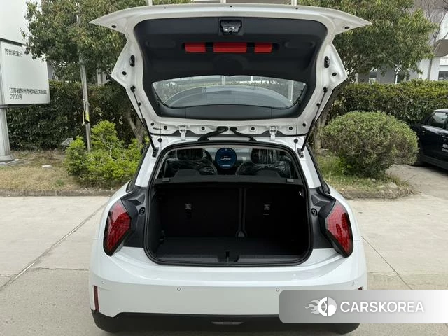 MINI Electric COOPER id 4241563 из Китая 12