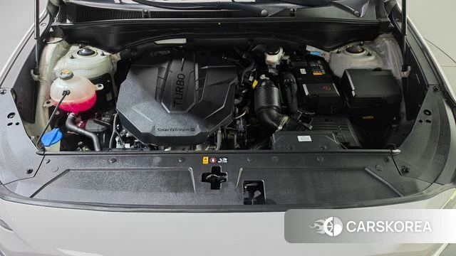 Hyundai The New Santa Fe id 4899446 из Кореи 27