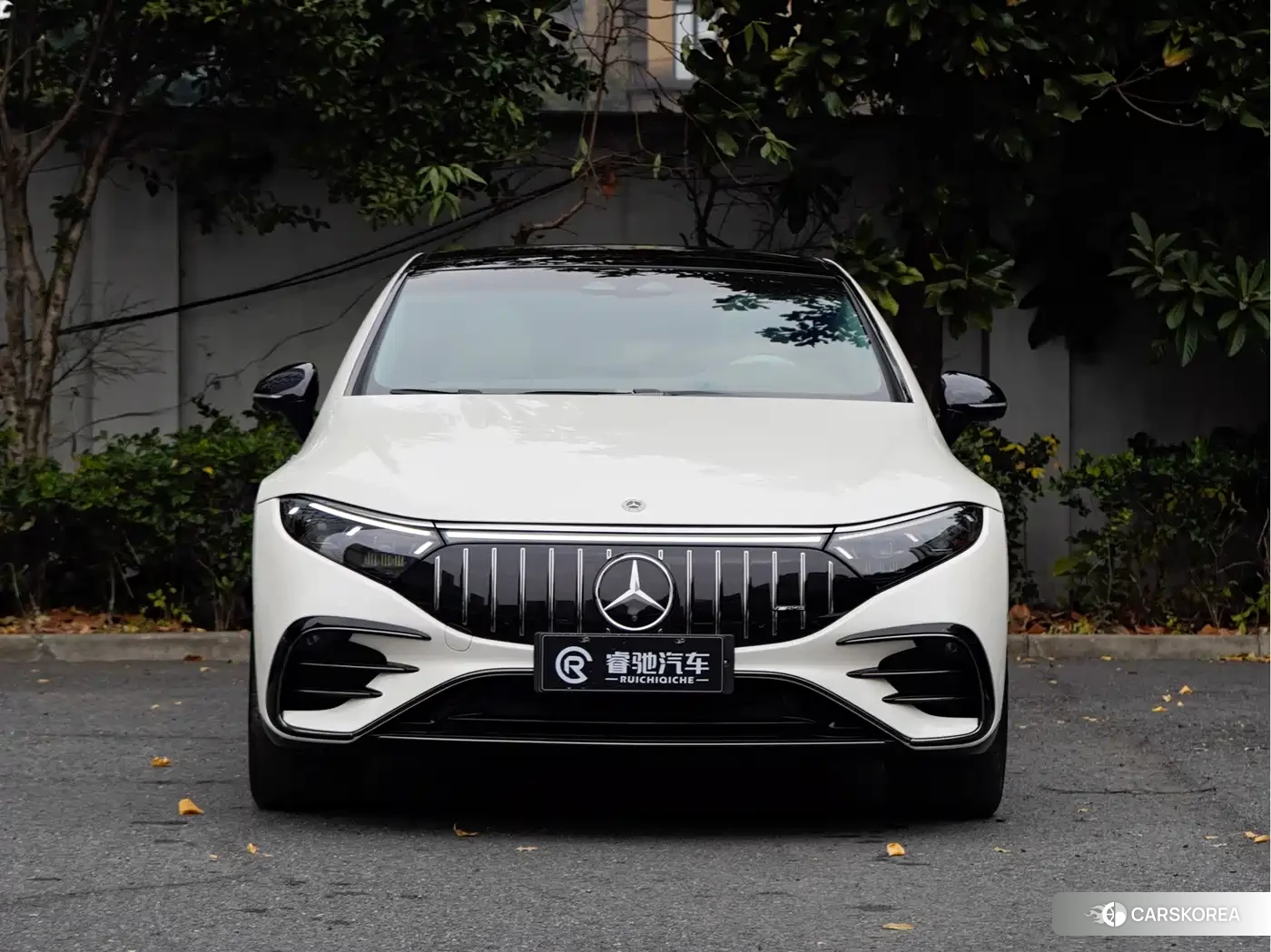 Mercedes-Benz EQS AMG id 4622658 из Китая 18