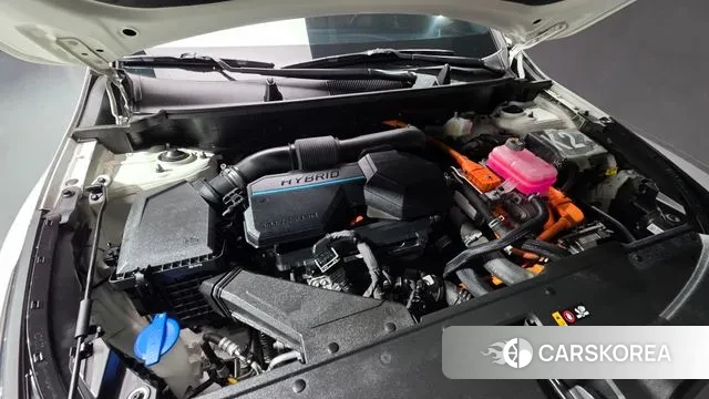 Kia Sportage 5th Generation Hybrid id 3685323 из Кореи 16