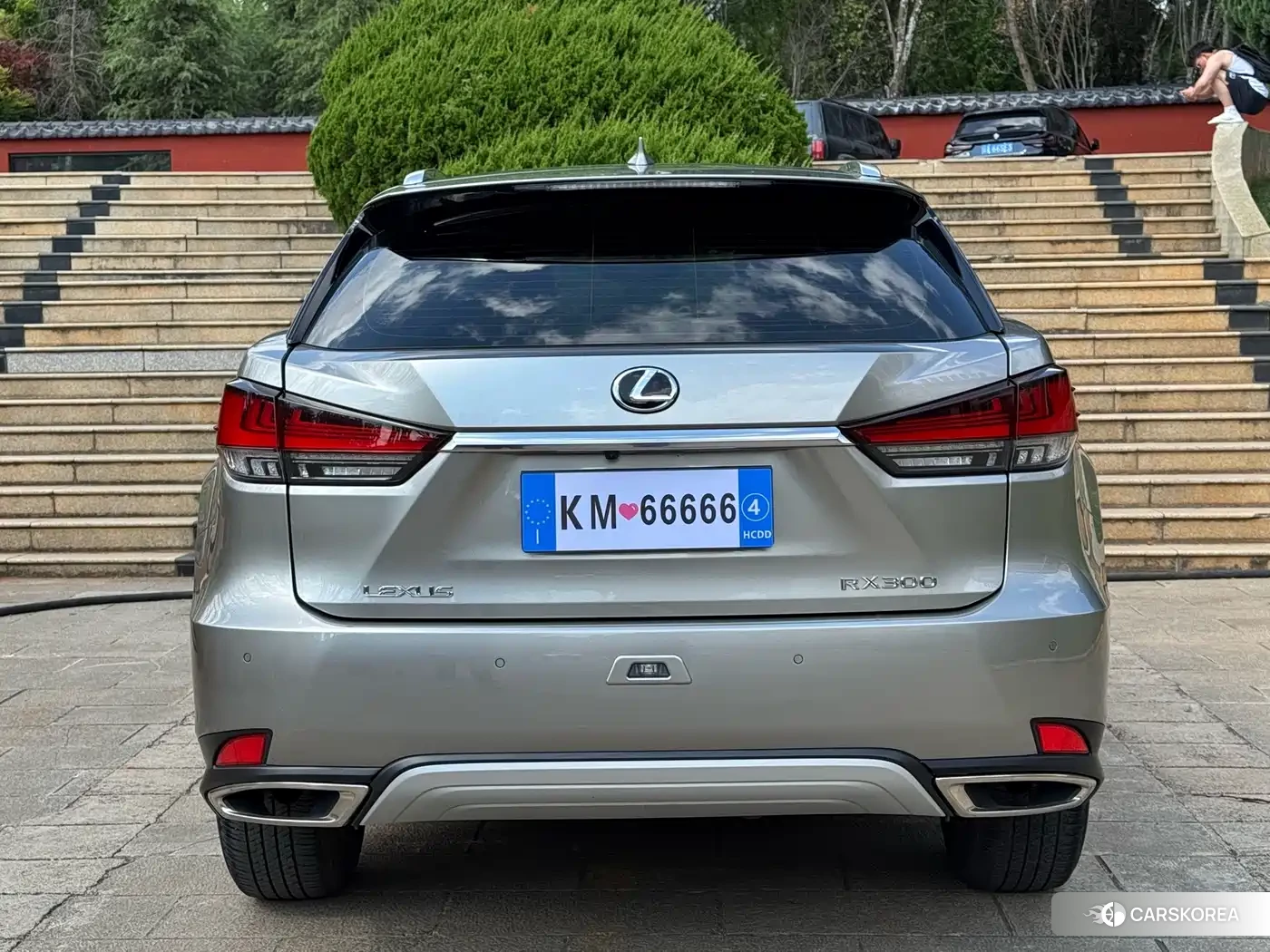 Lexus RX id 4601076 из Китая 17