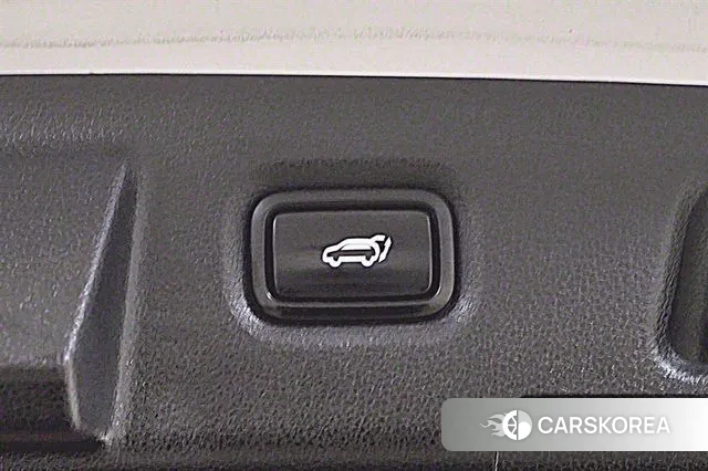 Hyundai Santa Fe TM id 2971572 из Кореи 16