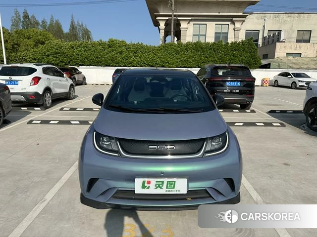 BYD dolphin id 4240196 из Китая 27