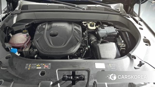 Renault Korea (Samsung) Grand Coleos id 4548728 из Кореи 30