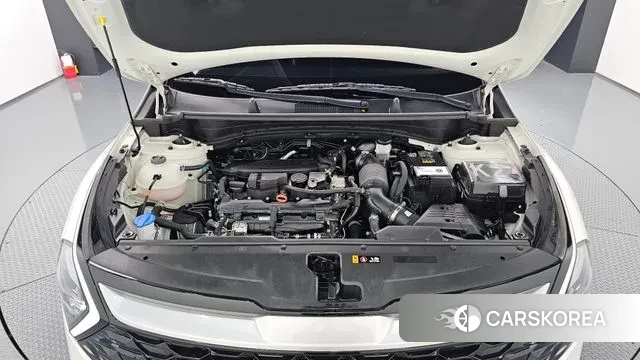 Kia Sportage 5th Generation id 3289266 из Кореи 16