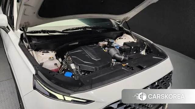 Hyundai The New Santa Fe id 2990582 из Кореи 16