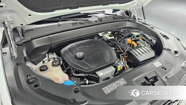 Renault Korea (Samsung) Grand Coleos id 4499412 из Кореи 31