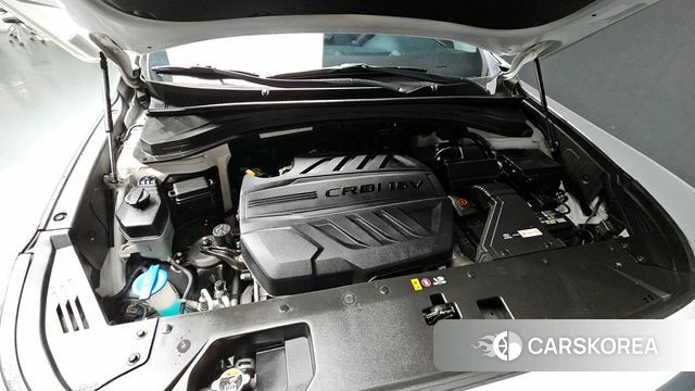 Hyundai Santa Fe TM id 3879903 из Кореи 16