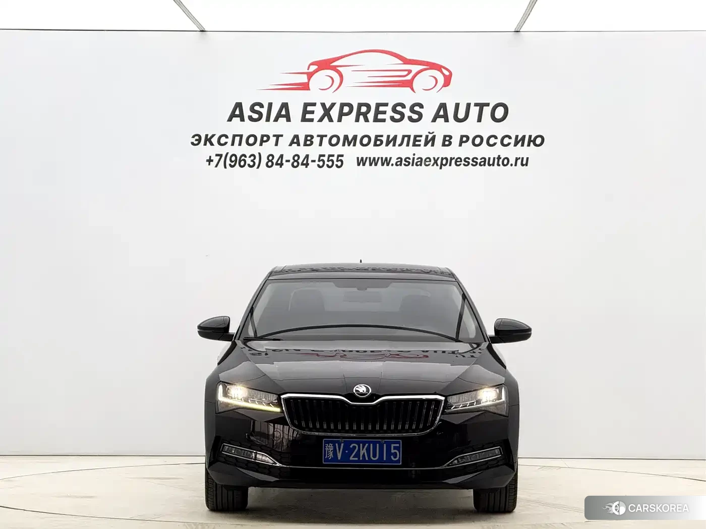 Skoda Speed pie id 4570642 из Китая 18