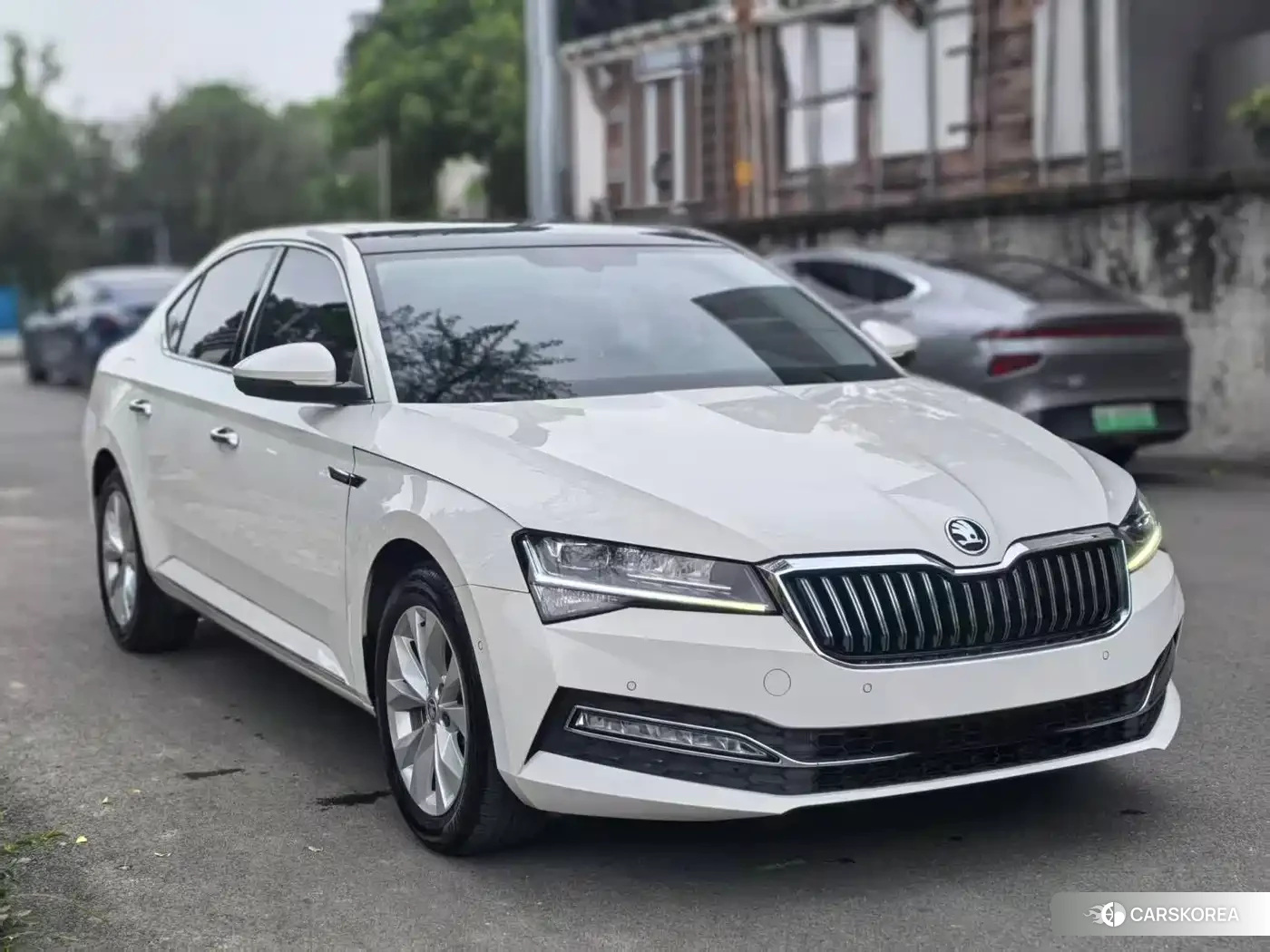 Skoda Speed pie id 4546086 из Китая 8