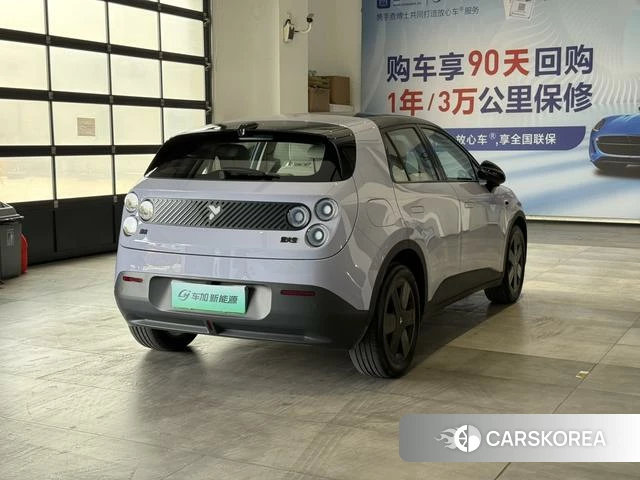 firefly firefly Unknown 2025 Фиолетовый из Китая, фото 6