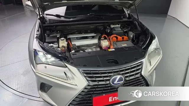 Lexus NX300h id 3617299 из Кореи 16