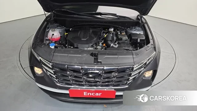 Hyundai Tucson (NX4) id 3675594 из Кореи 16