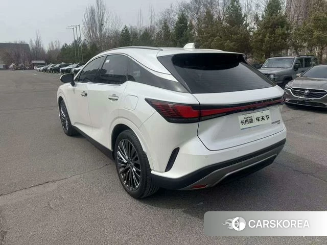 Lexus RX 2023 Белый из Китая, фото 6