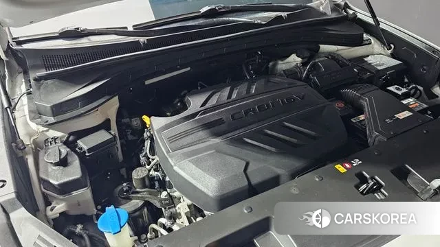 Hyundai Santa Fe TM id 3641494 из Кореи 16