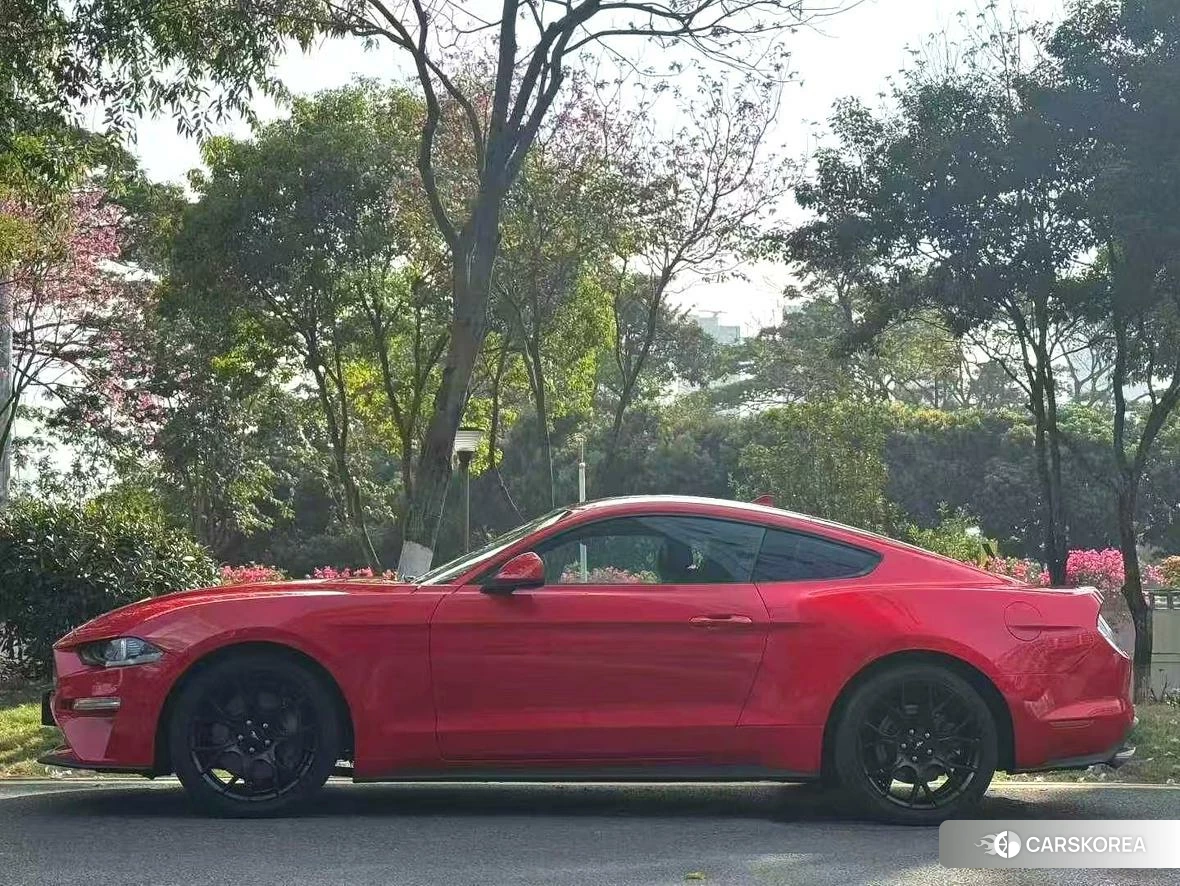 Ford Mustang id 4421110 из Китая 10