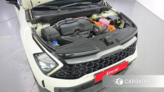 Kia Sportage 5th Generation Hybrid id 4556388 из Кореи 16