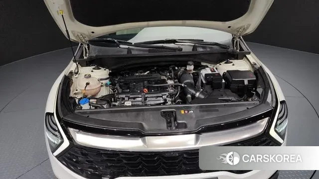 Kia Sportage 5th Generation id 3384633 из Кореи 16