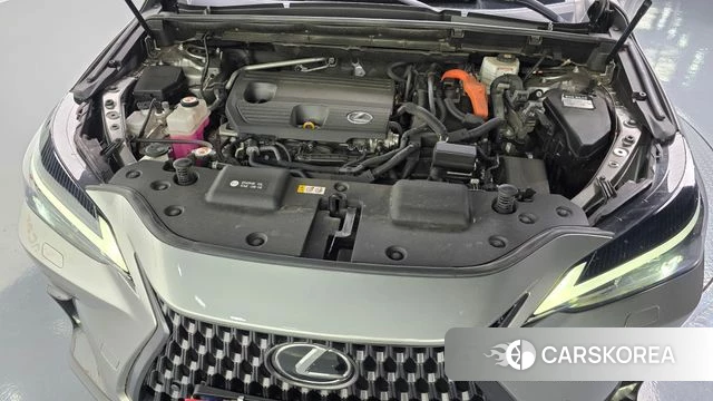 Lexus NX350h Second generation id 4773912 из Кореи 29