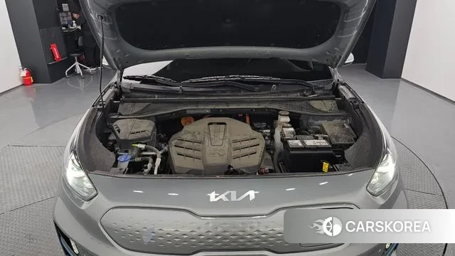 Kia Niro EV id 3635294 из Кореи 16