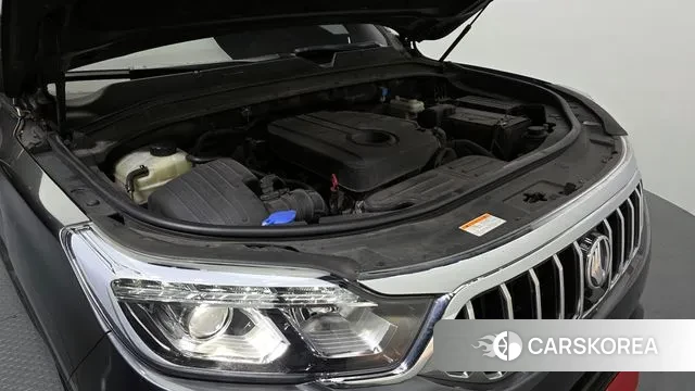 Ssangyong Rexton Sports Cannes id 3748237 из Кореи 16